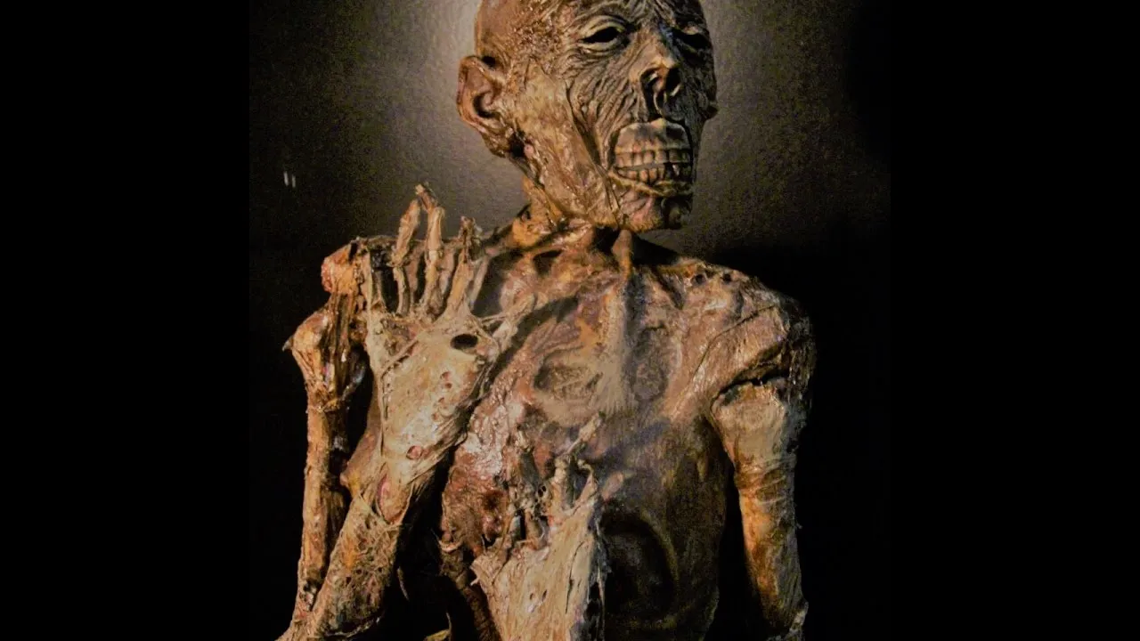 Breaking News: Ancient wonder revealed: World's oldest Chachapoya mummy found in Uchucmarca region - Latest Update - NEWS
