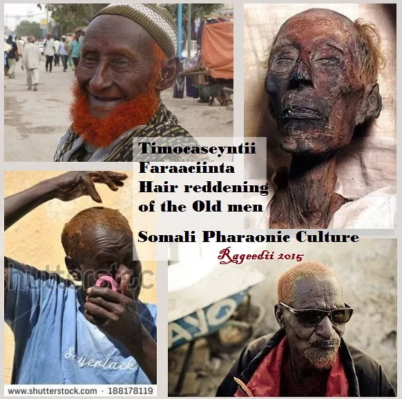 Timo Caseyntii Faraaciinta / Hair Reddening of Ramses II f… | Flickr