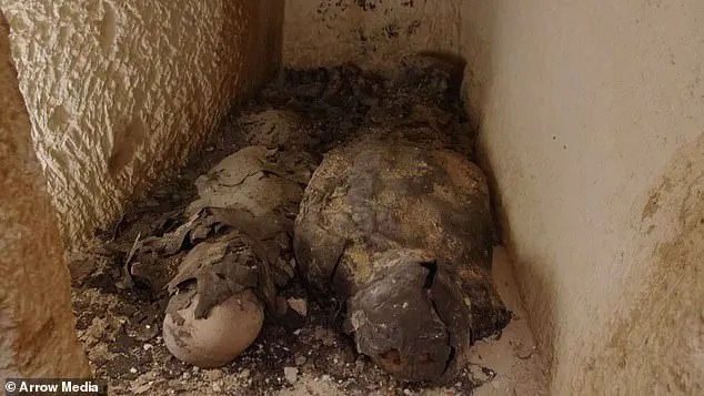 Las momias egipcias revelan nuevas evidencias: comienza la intensa búsqueda de la tumba perdida de Cleopatra. Criss