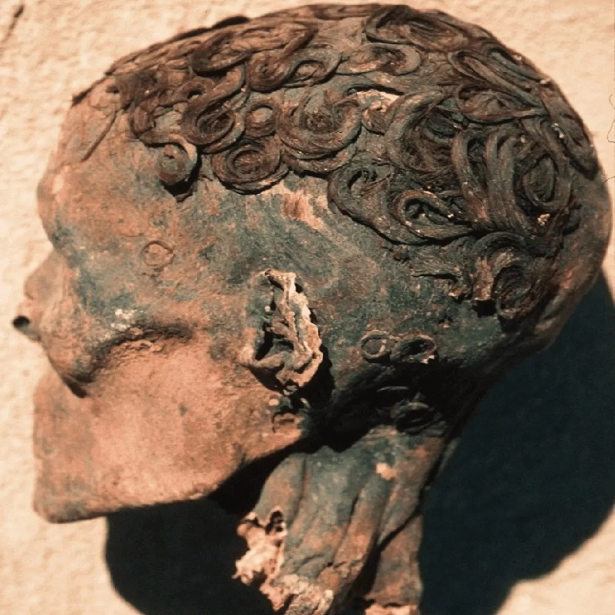 El pelo rizado, aún intacto, de una reina faraónica egipcia de 60 años desaparecida hace 3.500 años. - Luxury Blog