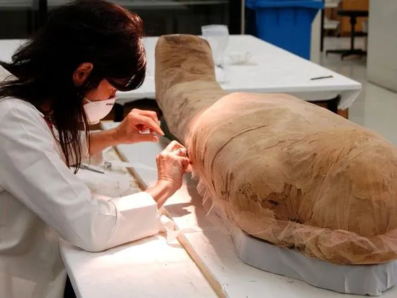 Descubriendo secretos ancestrales: un viaje a través de las momias egipcias