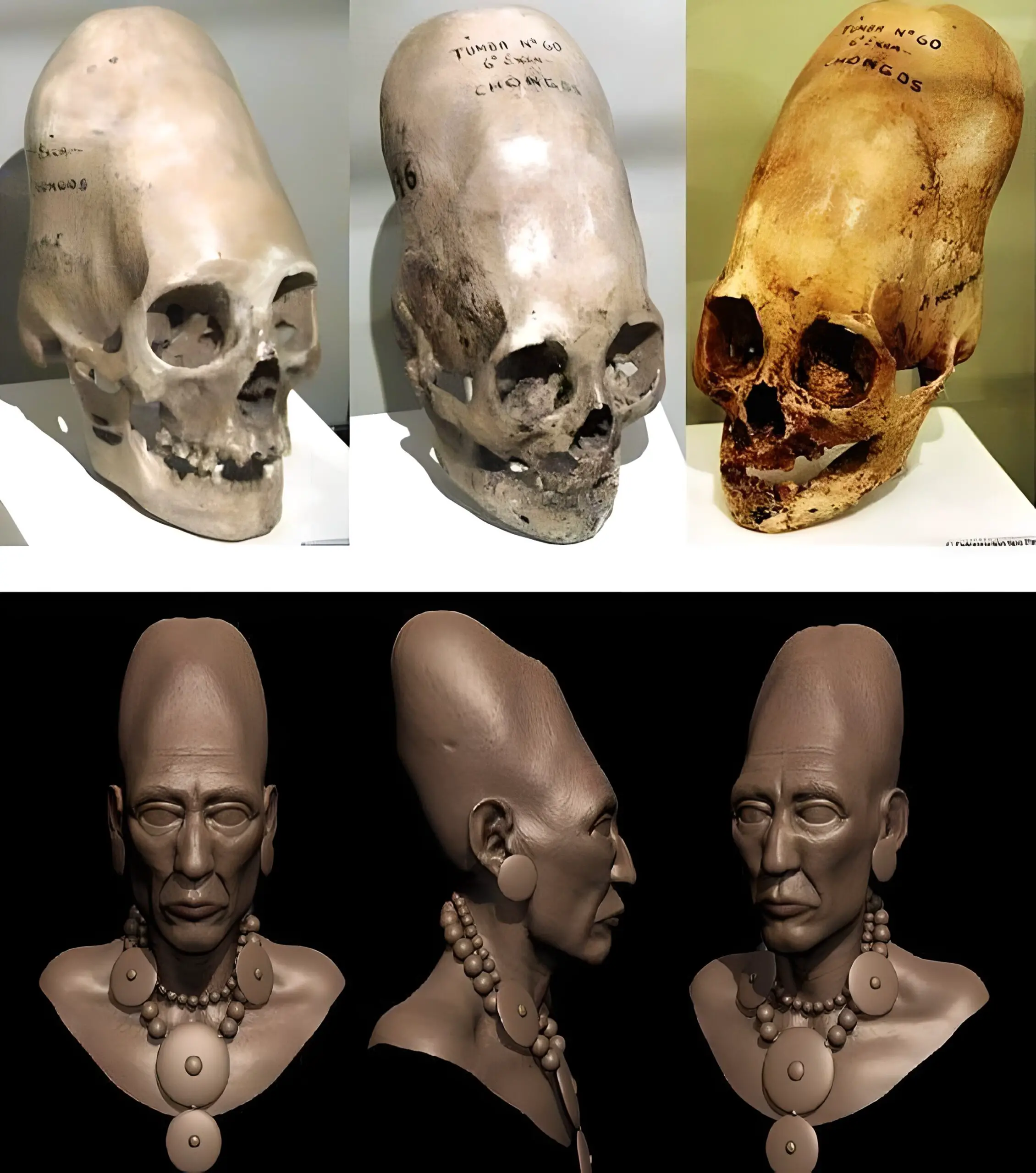 ¿Los cráneos alargados de Paracas se inspiraron en el contacto extraterrestre o en una antigua costumbre?