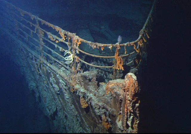 Buceadores descubren un arrecife «más asombroso que un naufragio» cerca del Titanic