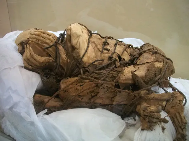 Los arqueólogos creen haber resuelto el misterio de por qué esta momia “petrificada” de 1.000 años de antigüedad se cubre el rostro