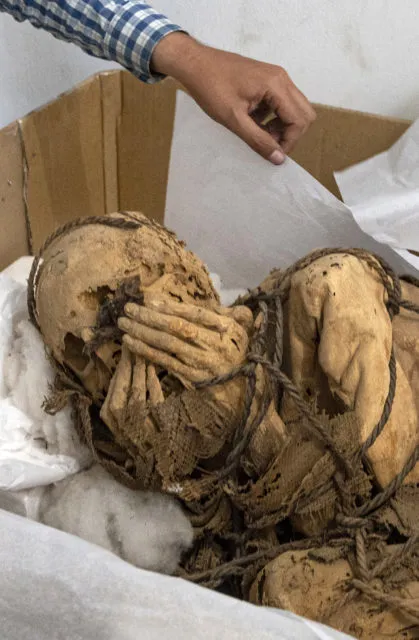 Los arqueólogos creen haber resuelto el misterio de por qué esta momia “petrificada” de 1.000 años de antigüedad se cubre el rostro