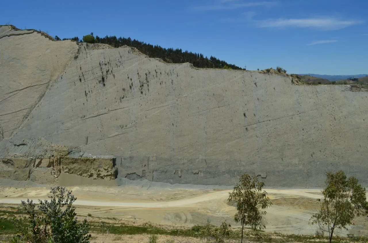 Footprints On The Wall: Were Dinosaurs Actually Climbing The Cliffs In Bolivia?
