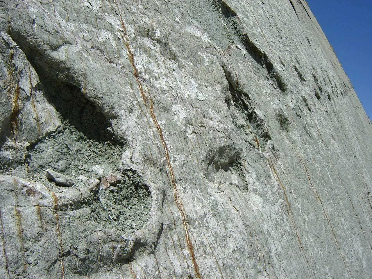 Footprints On The Wall: Were Dinosaurs Actually Climbing The Cliffs In Bolivia?
