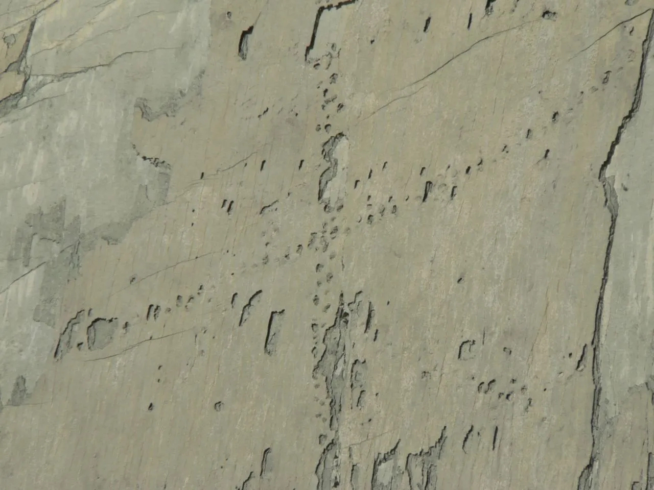 Footprints On The Wall: Were Dinosaurs Actually Climbing The Cliffs In Bolivia?