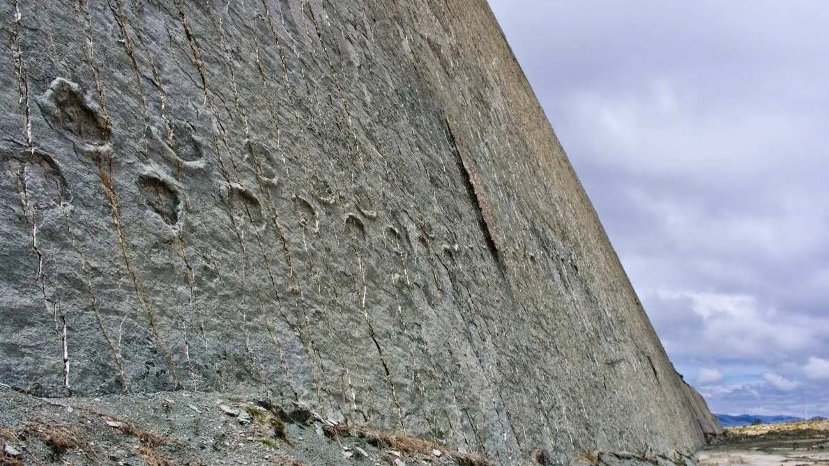 Footprints On The Wall: Were Dinosaurs Actually Climbing The Cliffs In Bolivia?