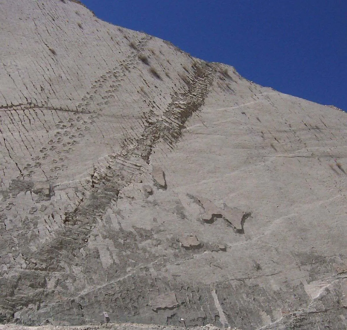 Footprints On The Wall: Were Dinosaurs Actually Climbing The Cliffs In Bolivia?