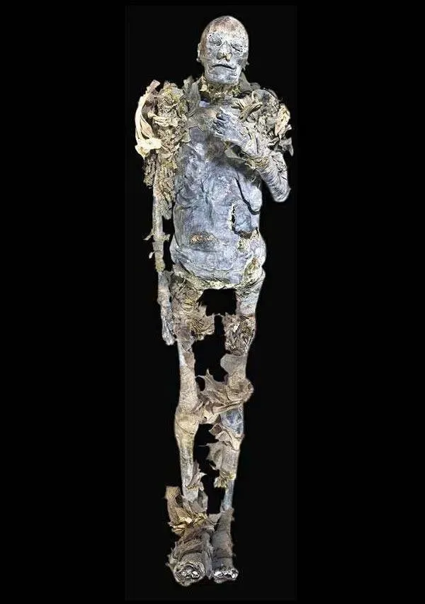 The Remarkable Discovery of Queen Hatshepsut’s Mummy: Unraveling Ancient Egypt’s Most Powerful Female Pharaoh