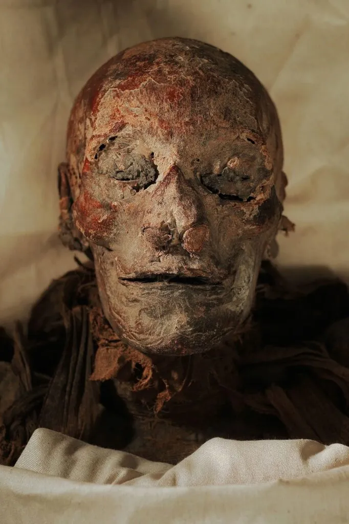 The Remarkable Discovery of Queen Hatshepsut’s Mummy: Unraveling Ancient Egypt’s Most Powerful Female Pharaoh