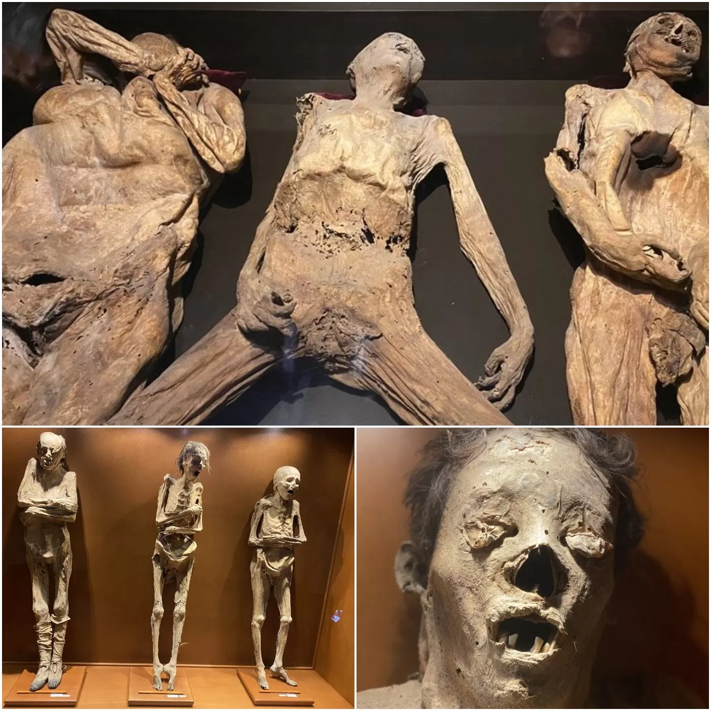 Archaeological wonder: surprising discovery of ancient corpses from Guanajuato in excavated tomb. - Luxury Blog