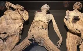 Archaeological wonder: surprising discovery of ancient corpses from Guanajuato in excavated tomb. - Luxury Blog