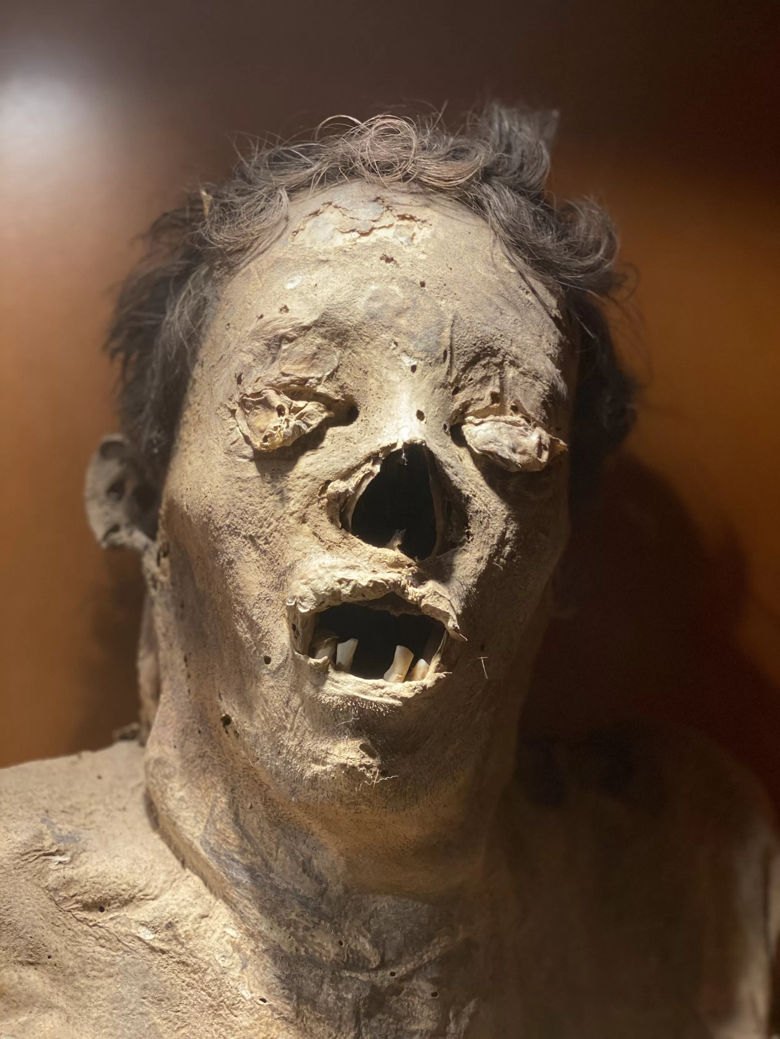 Archaeological wonder: surprising discovery of ancient corpses from Guanajuato in excavated tomb. - Luxury Blog