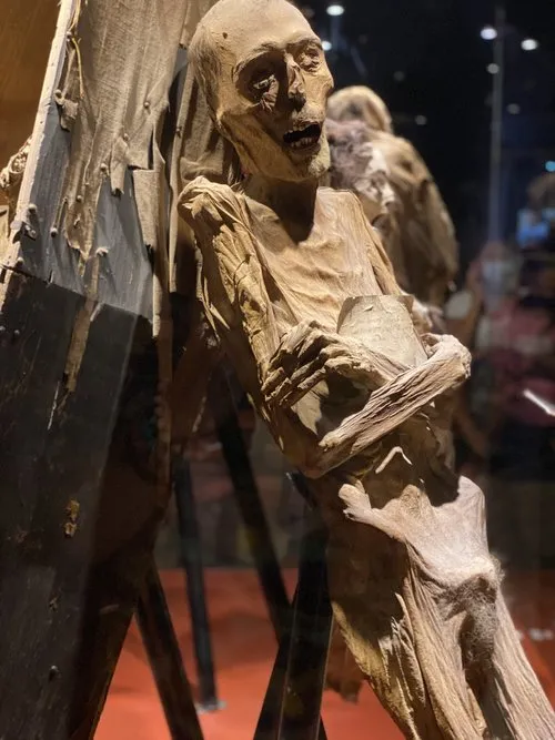 Archaeological wonder: surprising discovery of ancient corpses from Guanajuato in excavated tomb. - Luxury Blog