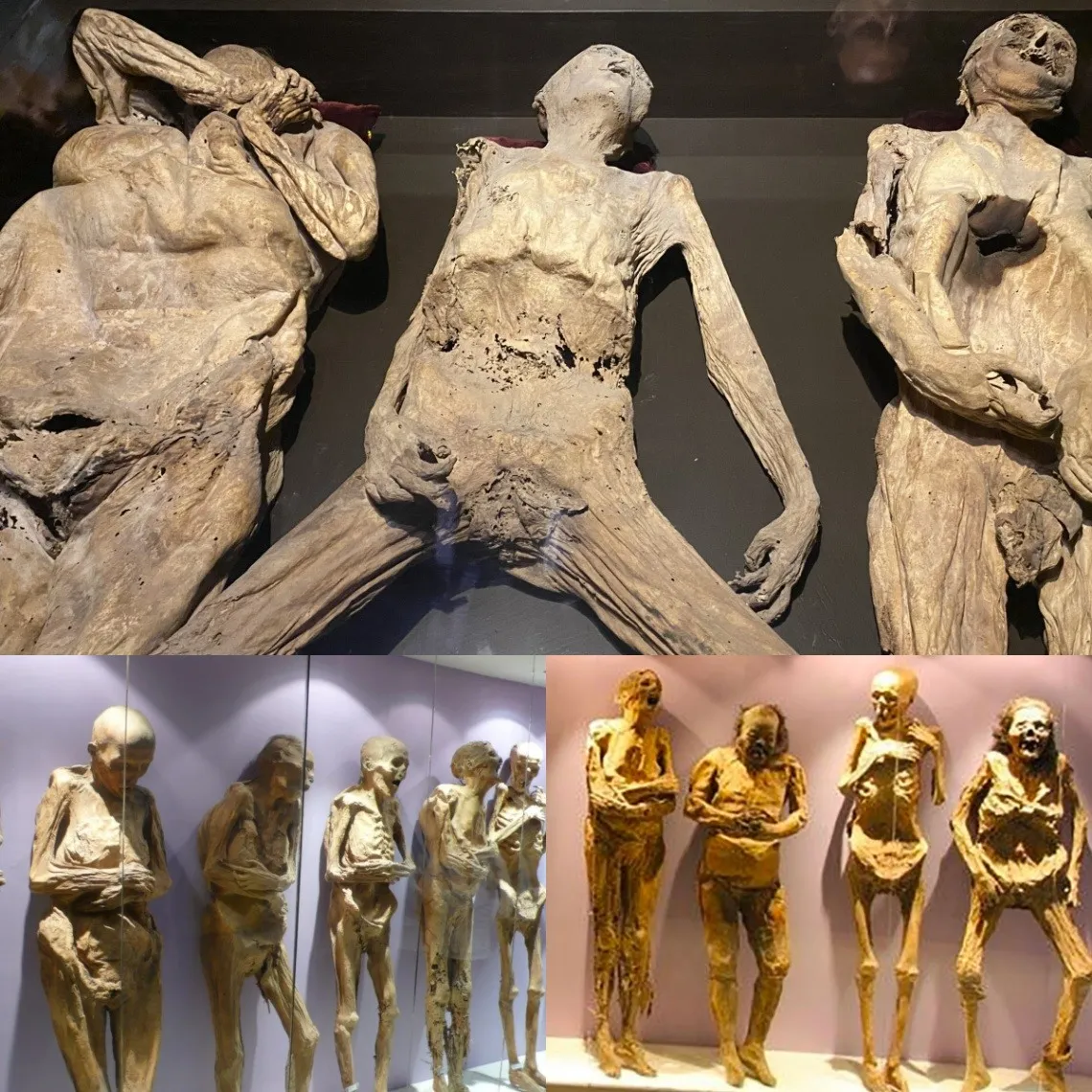Archaeological wonder: surprising discovery of ancient corpses from Guanajuato in excavated tomb. - Luxury Blog