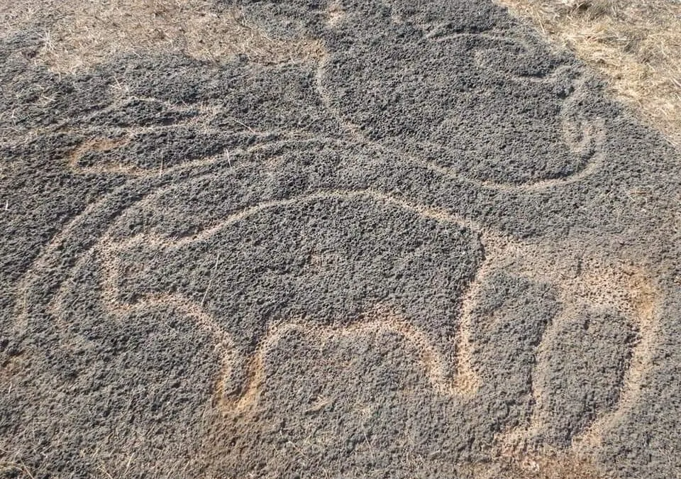 In search of petroglyphs in Konkan and Ladakh region: The rock carvings of our prehistoric ancestors