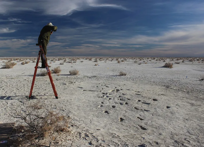 Features - Ghost Tracks of White Sands - Archaeology Magazine - November/December 2021