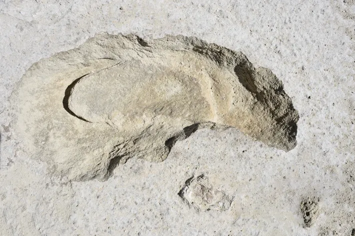 Features - Ghost Tracks of White Sands - Archaeology Magazine - November/December 2021