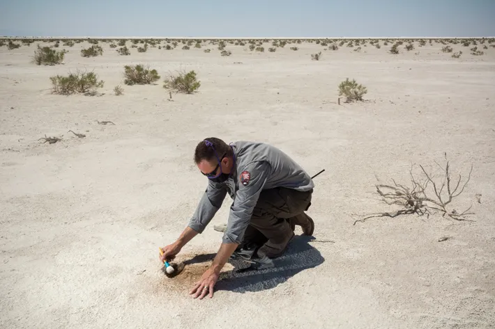 Features - Ghost Tracks of White Sands - Archaeology Magazine - November/December 2021