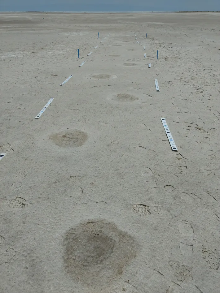 Features - Ghost Tracks of White Sands - Archaeology Magazine - November/December 2021