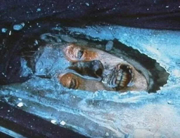 What has Antarctica revealed? The perfectly frozen corpse of a 10-meter giant continues to defy scientific explanation! - Luxury Blog