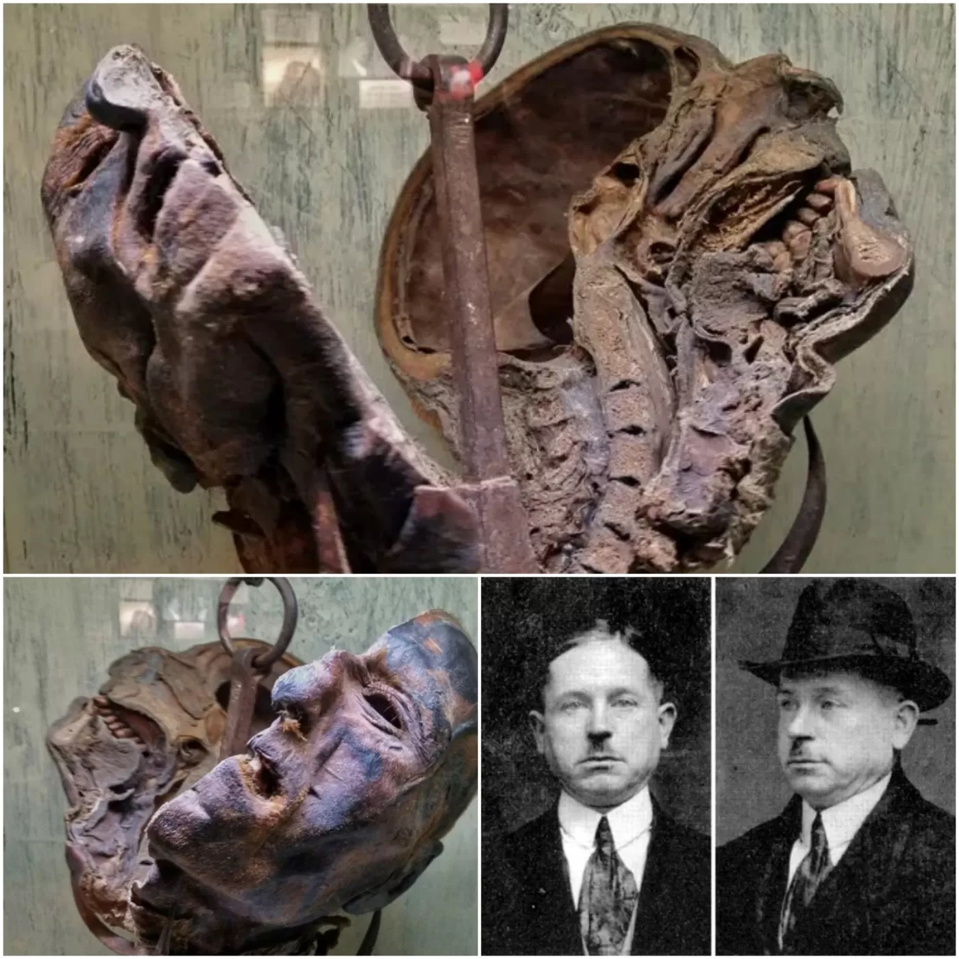 Peter Kurten's Head: A Chilling Moment in Ripley's Believe It or Not! - Luxury Blog