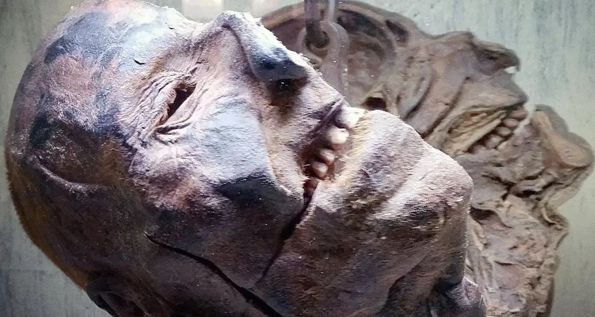 Peter Kurten's Head: A Chilling Moment in Ripley's Believe It or Not! - Luxury Blog