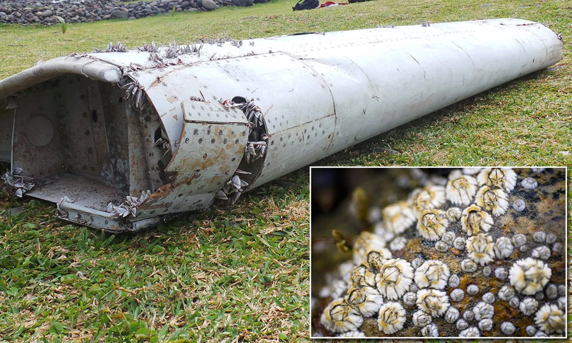 A Groundbreaking Discovery by Scientists Could Finally Unravel the Mystery of Malaysian Flight 370 – Luxury Blogs