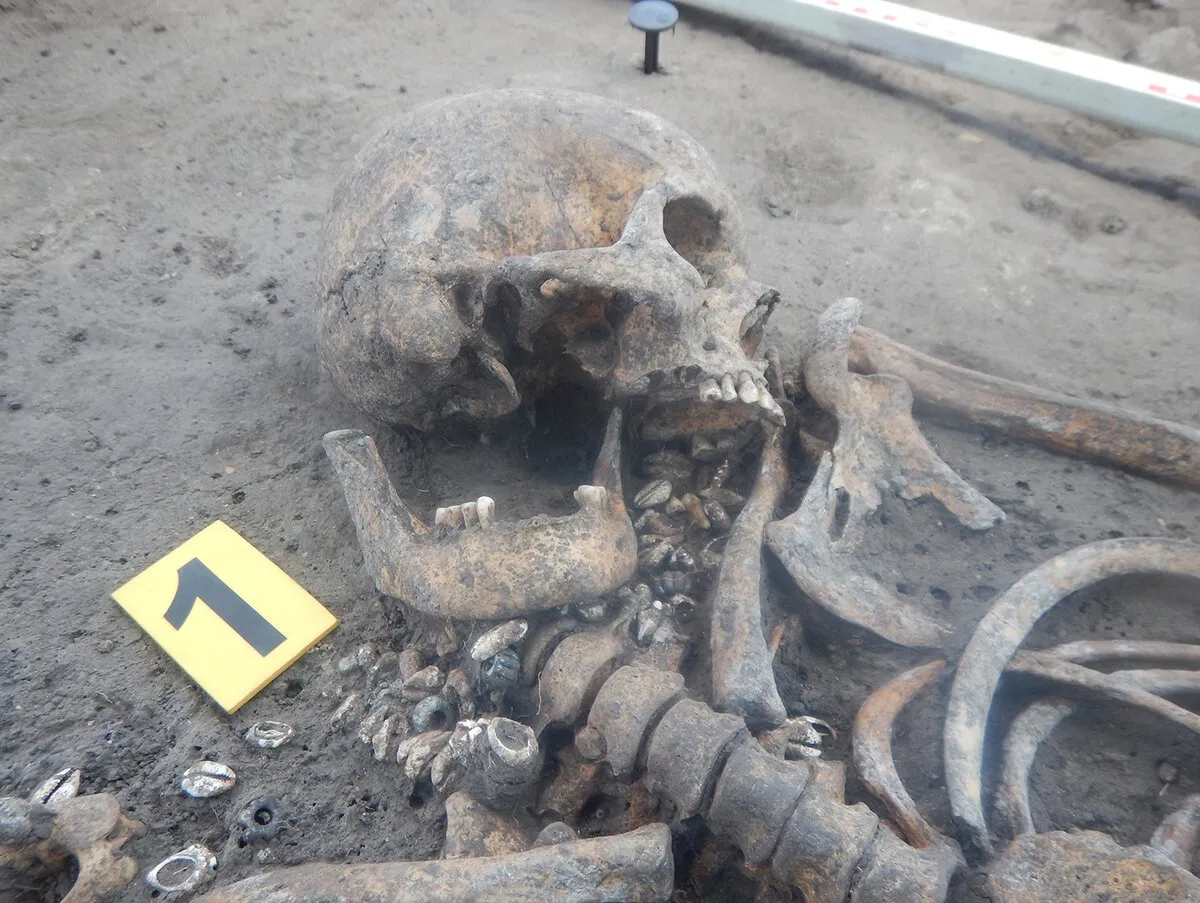 Shocking Revelation: Terrifying Vampire Skeleton Found With Stake – Uncover the Sinister Secrets Behind This Ancient Horror!