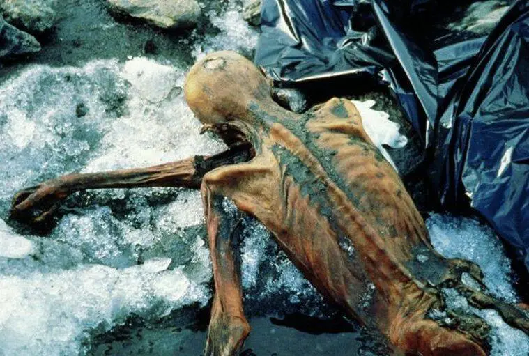 Breaking News: The Astonishing Revelation of Ötzi the Iceman, the Oldest and Most Enigmatic Mummy in Human History, Unlocking Secrets from Over 5,000 Years Ago!