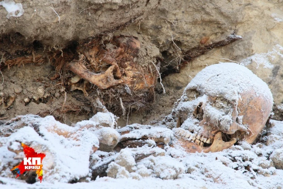 BREAKING NEWS: Revealing Giants in Antarctica – Discovering the Enigmatic Tribes Hidden Under the Ice!