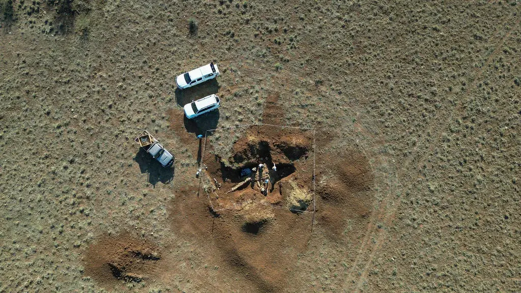 Shocking Revelation! Fossil Explorers Unearth the Skeletal ‘Rosetta Stone’ of Ancient Maritime Australia Island! Hulk!
