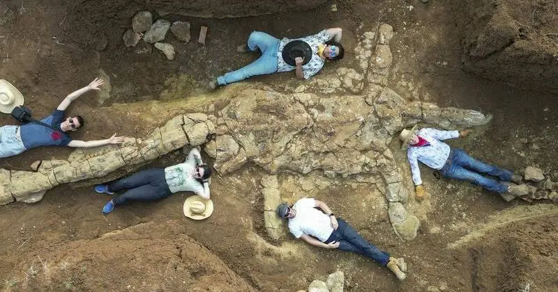Shocking Revelation! Fossil Explorers Unearth the Skeletal ‘Rosetta Stone’ of Ancient Maritime Australia Island! Hulk!