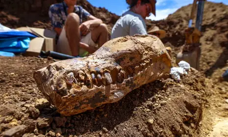 Shocking Revelation! Fossil Explorers Unearth the Skeletal ‘Rosetta Stone’ of Ancient Maritime Australia Island! Hulk!
