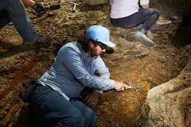 Shocking Revelation! Fossil Explorers Unearth the Skeletal ‘Rosetta Stone’ of Ancient Maritime Australia Island! Hulk!