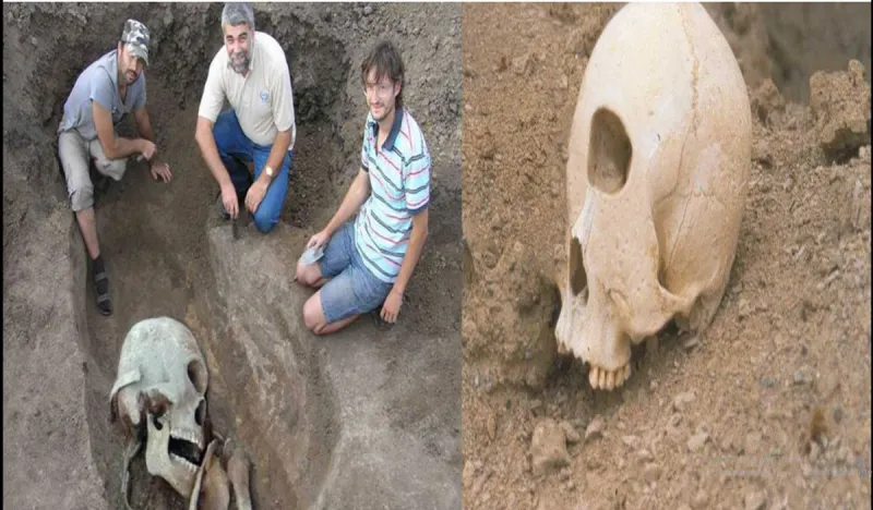 Russia's colossal army revealed: Astonishing discoveries emerge from the depths of the Mongolian desert