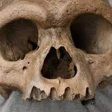 Archaeologists Discover Giant Nephilim Skull – A Find That Could Completely Rewrite the Narrative of History