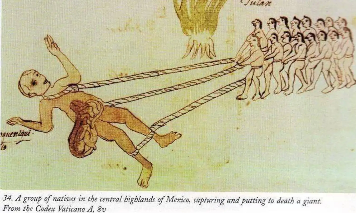 Breaking News: The Chilling Truth Revealed – Humanity’s Dark Past of Brutal Torture Against a Tribe of Giants Exposed