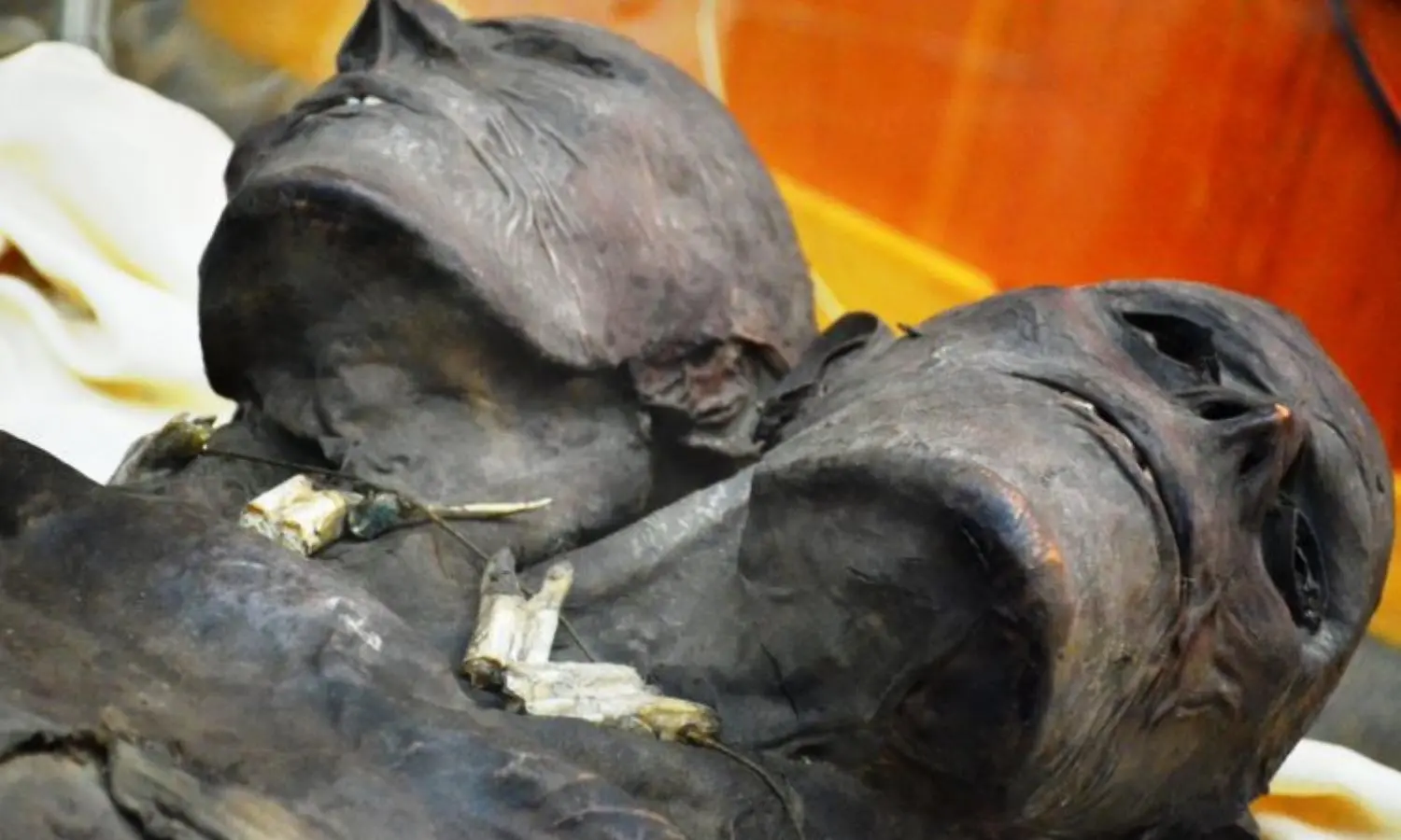 Breaking News: The Chilling Truth Revealed – Humanity’s Dark Past of Brutal Torture Against a Tribe of Giants Exposed