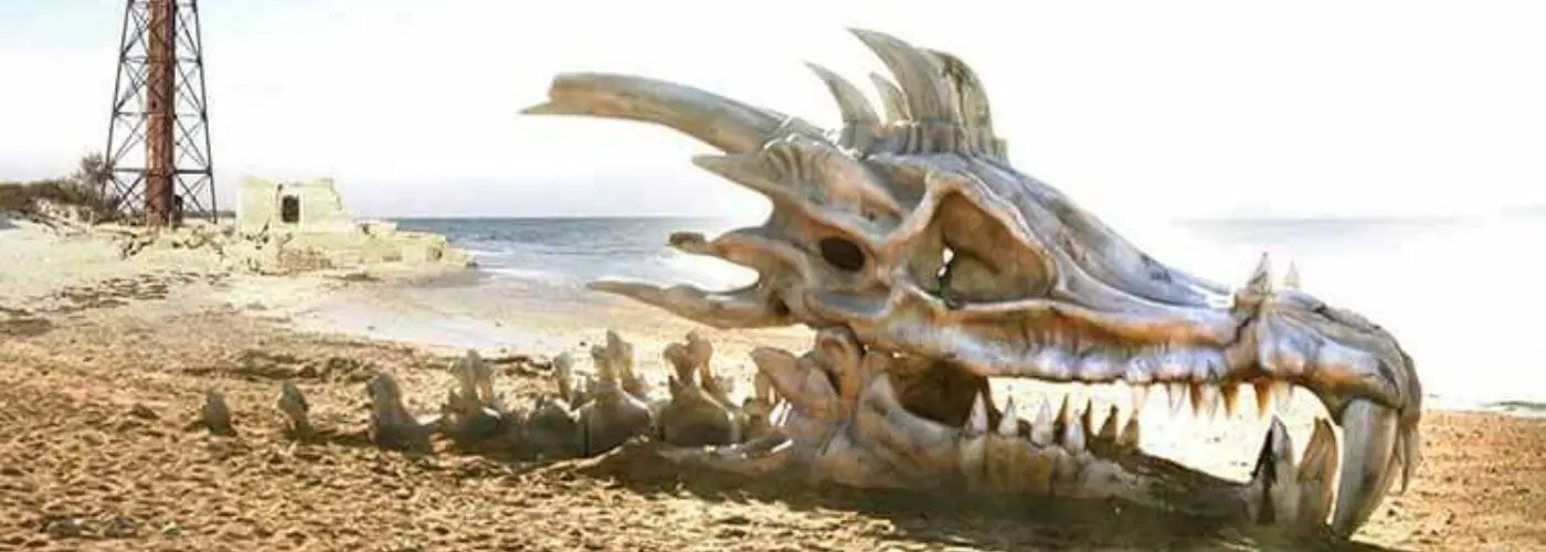 Shocking Discovery: 18-Meter Dragon Found – This Monumental Find Could Completely Rewrite Our Understanding of Ancient History and Challenge Everything We Thought We Knew About Dragons.