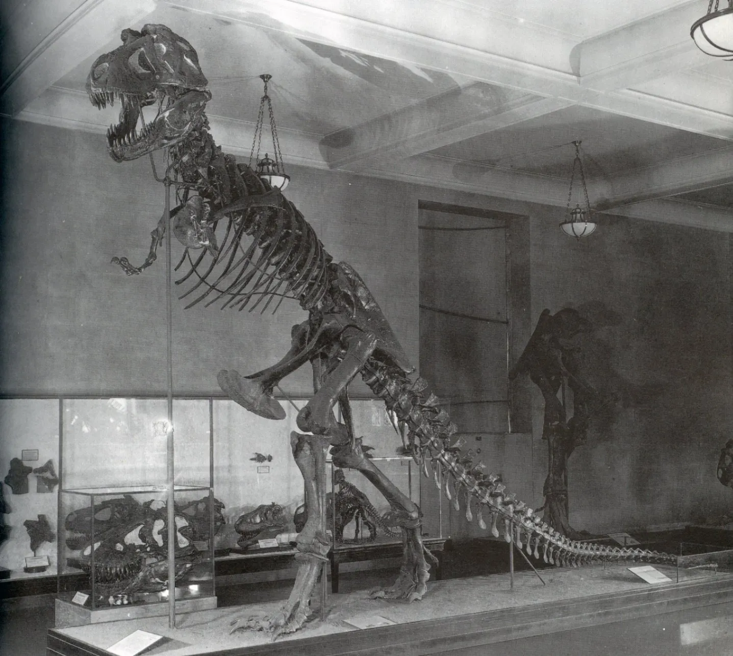 What if 15th-century nobility rode dinosaurs instead of horses? The shocking theory that defies history