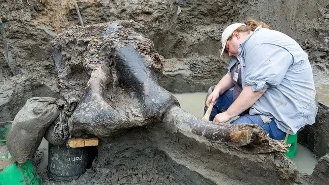 Scientists Shocked: The Real Existence Of This Giant Extraterrestrial Creature Has Surpassed All Expectations And Left The World Stunned!