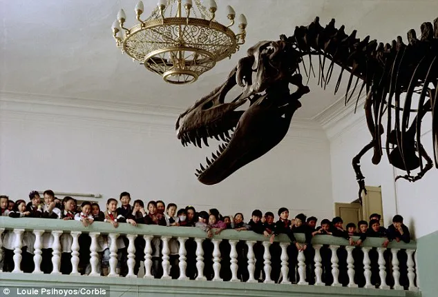Discovering the Mysterious Tarbosaurus Fossil: An Entertaining Story of Tireless Research in England