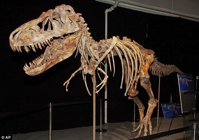 Discovering the Mysterious Tarbosaurus Fossil: An Entertaining Story of Tireless Research in England