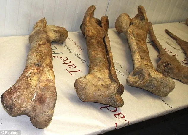 Discovering the Mysterious Tarbosaurus Fossil: An Entertaining Story of Tireless Research in England
