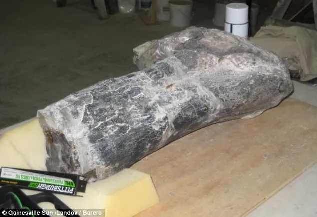 Discovering the Mysterious Tarbosaurus Fossil: An Entertaining Story of Tireless Research in England