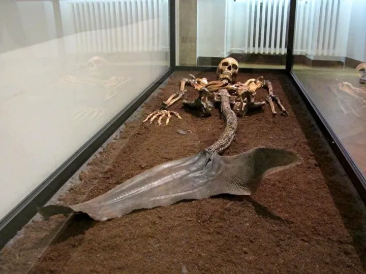 Shocking Revelation: The True Face of the Haraldskaer Mermaid Revealed