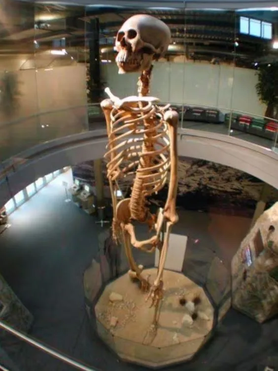 Skeletons of Giants and Mysterious Swimmers in Lake Issik Kul: Supernatural Discoveries in the USSR!